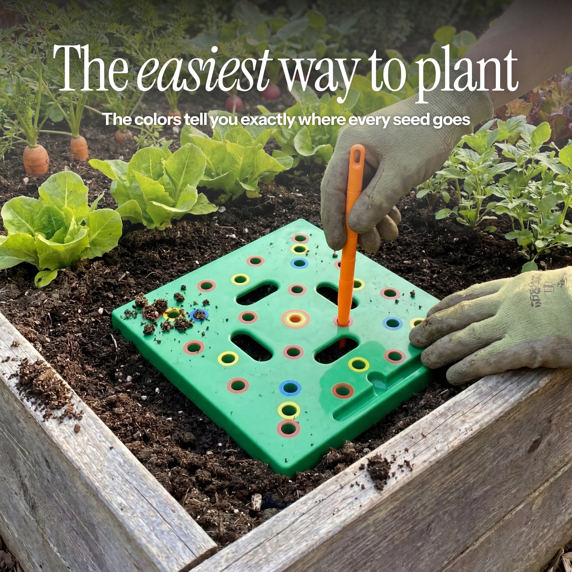 Kadvio's Planting Grid